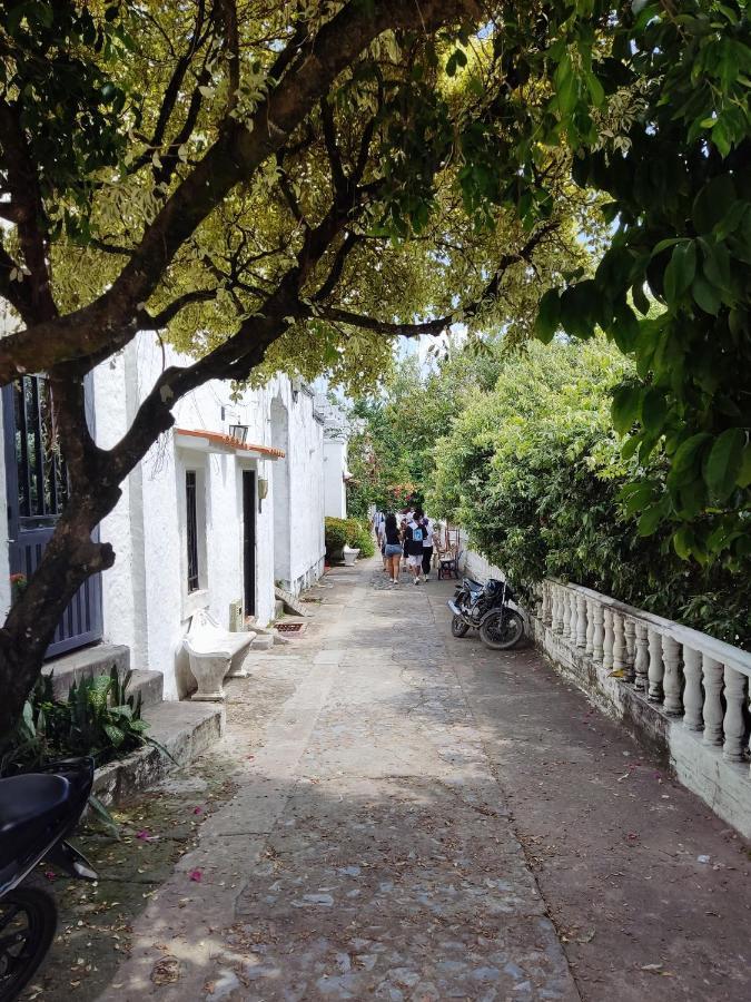 Villa Casa #52 Aldea Doradal Santorini Colombiano Esterno foto